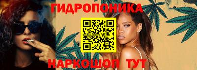 индика Прокопьевск