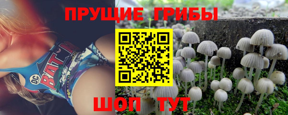 Галлюциногенные грибы MAGIC MUSHROOMS Вятские Поляны